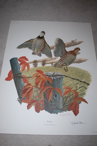 BOBWHITE LITHOGRAPH BY RICHARD SLOAN PLATE REGISTRATION NO.213121 - Picture 1 of 12