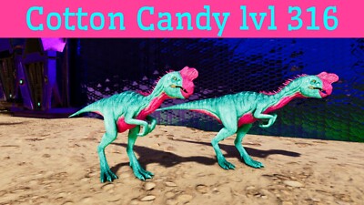 ARK Survival Ascended PvE High Level 316 Cotton Candy Oviraptor PC