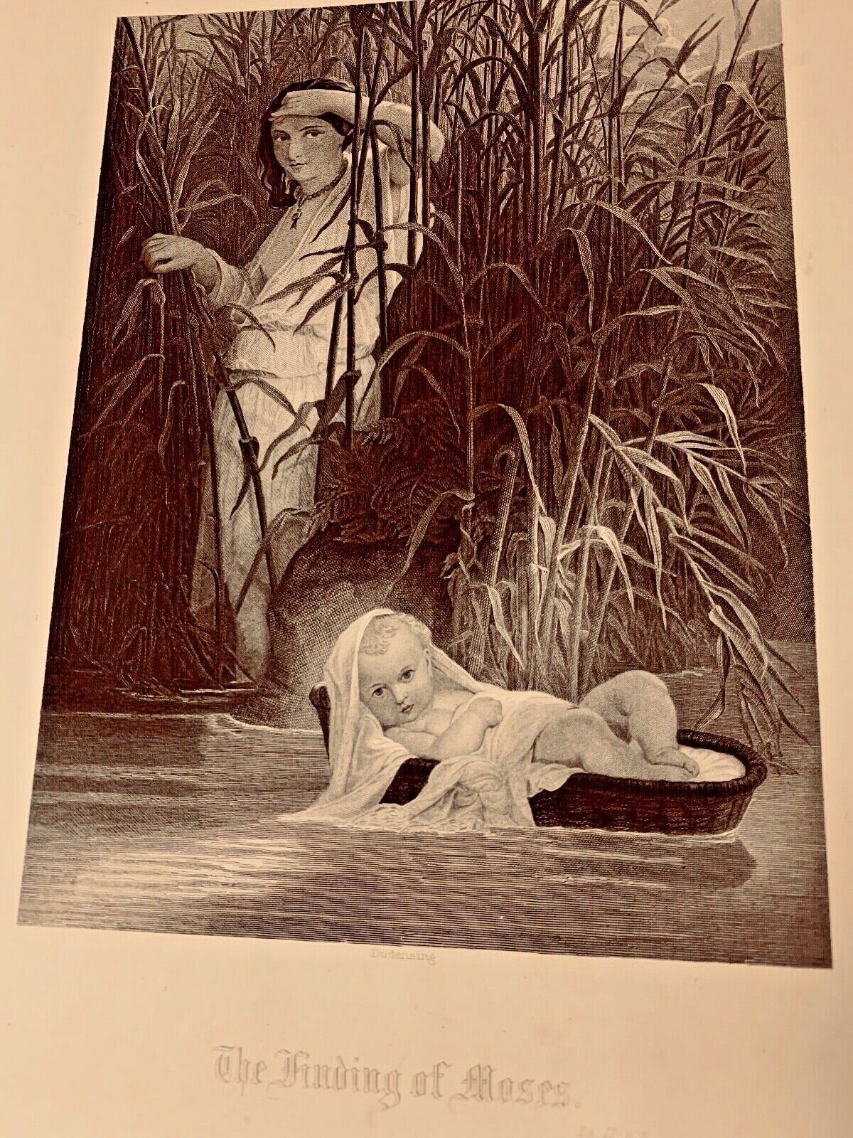 Picture 2 of 7