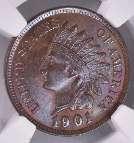 1901 Indian Head Cent - NGC MS63 BN - Nice Toning!! 