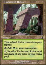 MTG magic cards 4x Timberland Ruins Odyssey Light Play, English