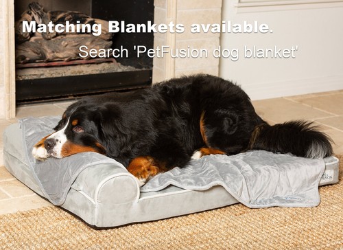 PetFusion BetterLounge Orthopedic Dog Bed | Solid CertiPUR-US Memory Foam, Wa... - Picture 6 of 7