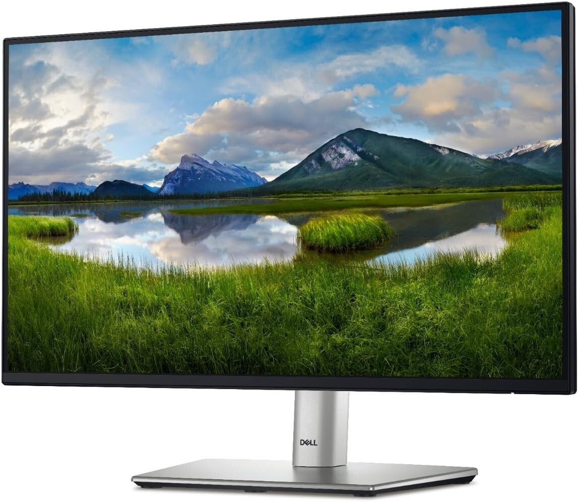 Dell 24 Monitor - P2422H - Full HD 1080p, IPS Technology