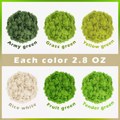 6 Colors Preserved Moss-16.9 OZ Natural Reindeer Moss-Moss for Crafts Potted ... - Picture 7 of 7