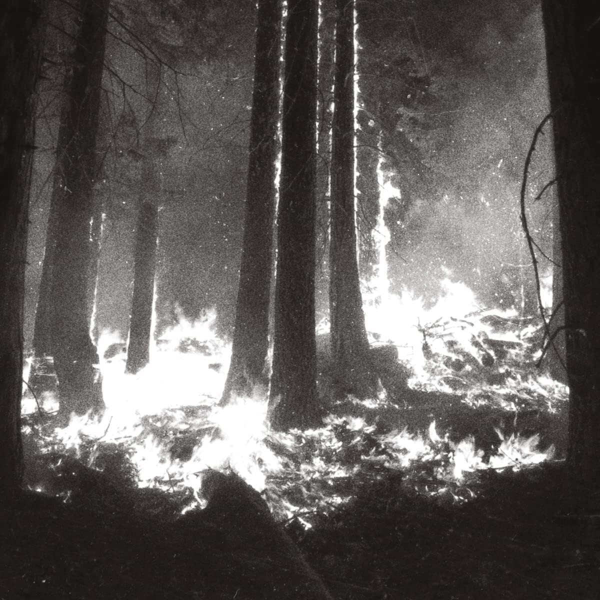 Den Sorte Dod Undergangen (CD) Album