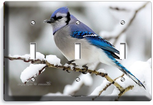 BLUE JAY BIRD ON THE TREE WINTER SNOW LIGHT SWITCH OUTLET WALL PLATES ROOM DECOR - Picture 10 of 33