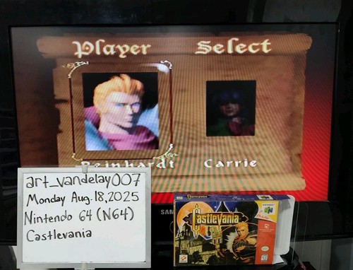 Castlevania (N64, 1999) *VGC w/ Manual + Case Protector* Cleaned & Tested! READ! - Picture 21 of 24
