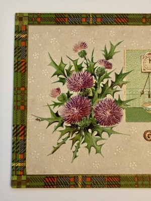 Vtg. Halloween Postcard-SCOTTISH Guid Luck tae ye Thistle, Blk Cat Embossed