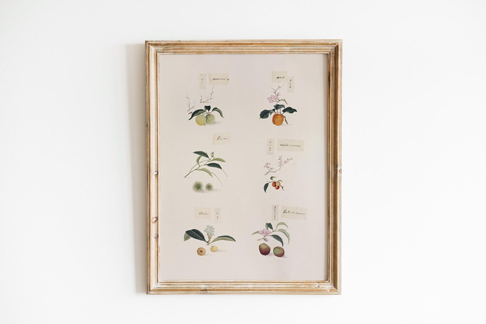 Botanical Cottagecore Wall Art Print For Aesthetic And Preppy Rooms