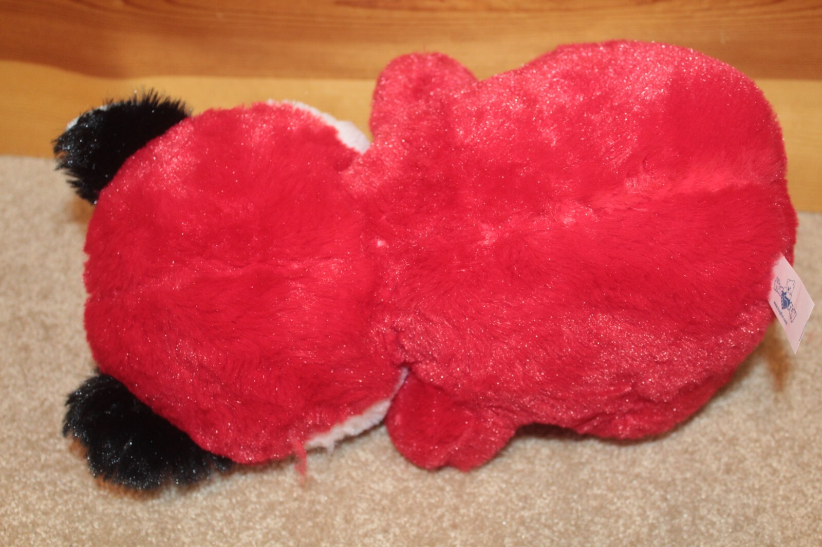 Picture 6 of 20