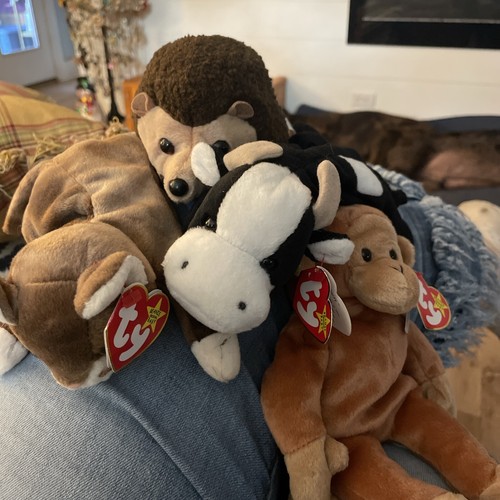 Group of 4TY Beanie Babies Daisy Pounce Prickles Bongo