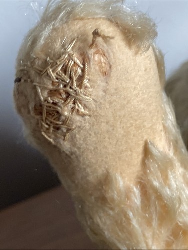 Antik Vintage einmal weiß Mohair Steiff Teddybär JTD Filzpfoten 15 Zoll OHNE AUSWEIS - Bild 18 von 21