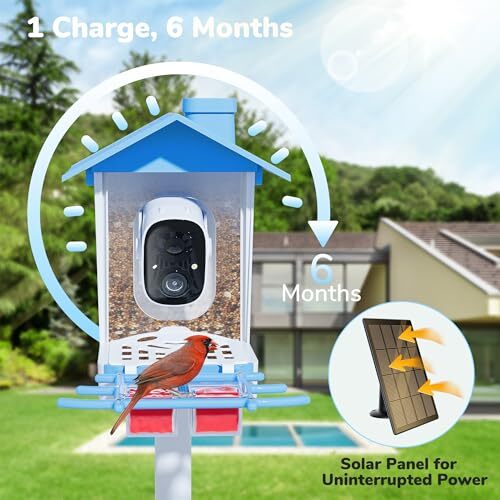 Bird Feeder with Camera, 2K HD Bird Video Capture, 5000mAh Battery with Solar - Picture 3 of 6