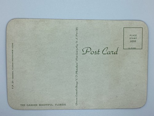 Postcard Beautiful Garden Palms Red Flowers Florida FL H381 - Picture 2 of 2