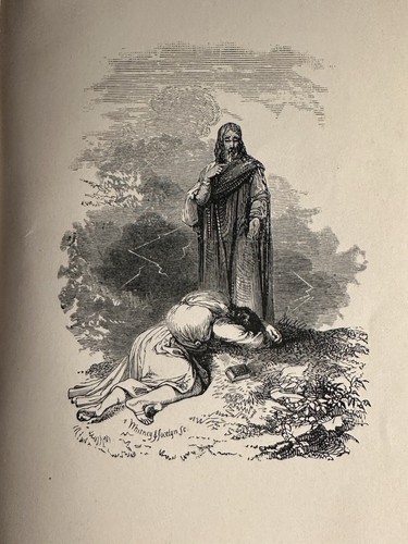 Pilgrim's Progress Illustrated John Bunyan From This World To That Which Is Come - Picture 15 of 16