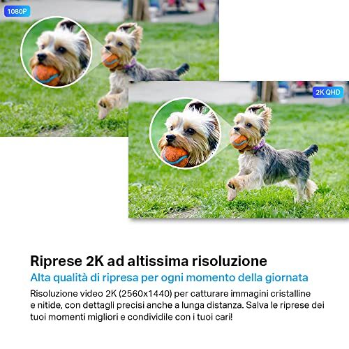 TP-Link Tapo C320WS Telecamera Wi-Fi Esterno QHD 4MP, Telecamera IP di Sorveglia - Foto 3 di 4