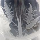 Picture 3 of 6