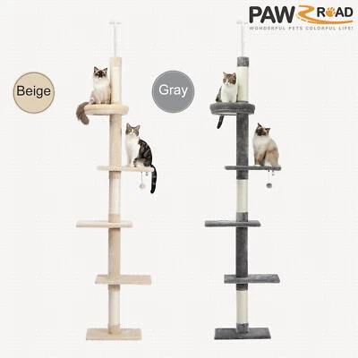 PAWZ Road Floor to Ceiling Cat Tree Tower for Kittens/Small Cats with Pompom Toy