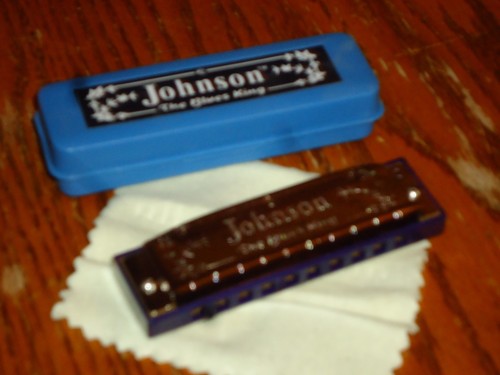 NEW BLUES KING HARMONICA 10 HOLE F# SHARPE KEY CASE STAGE STUDIO CAMPING FUN  - Picture 3 of 10