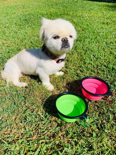 BERSO Portable ~ Silicone ~ Collapsible ~ Travel ~ Feeding Bowl - Picture 7 of 13