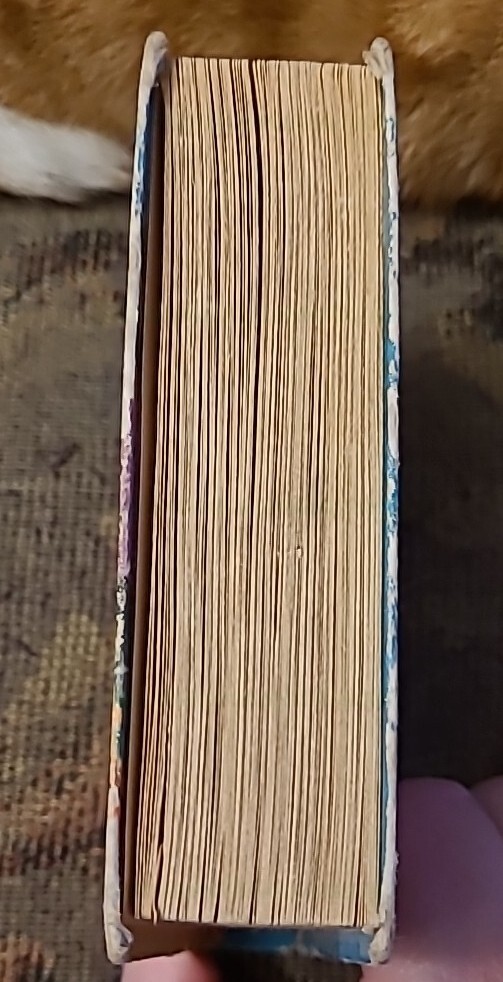 Picture 6 of 21