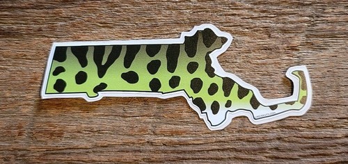 Massachusetts Aufkleber Sticker Forelle Braunbach Regenbogen Streifen Moschusangeln - Bild 14 von 19