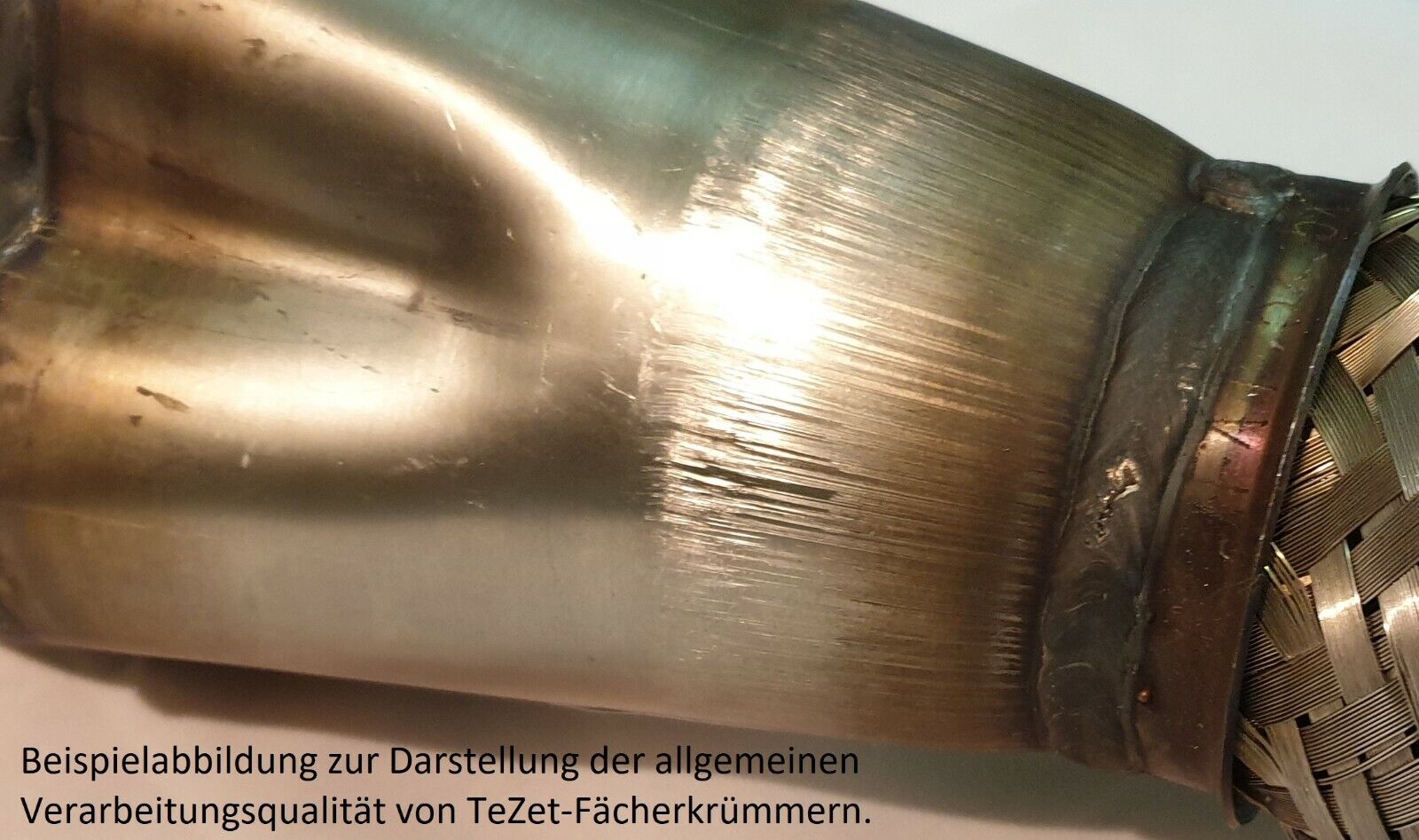 Bild 5 von 12