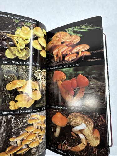 Audubon Society North American Mushrooms - Picture 13 of 19