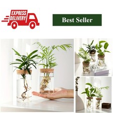 Glass Plant Propagation Station Vase Desktop Hydroponics Bud Vase