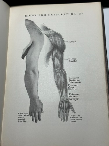 Vintage Encyclopaedia of Health 1931 inscribed to Lord & Lady Reading by Editor - Picture 8 of 9