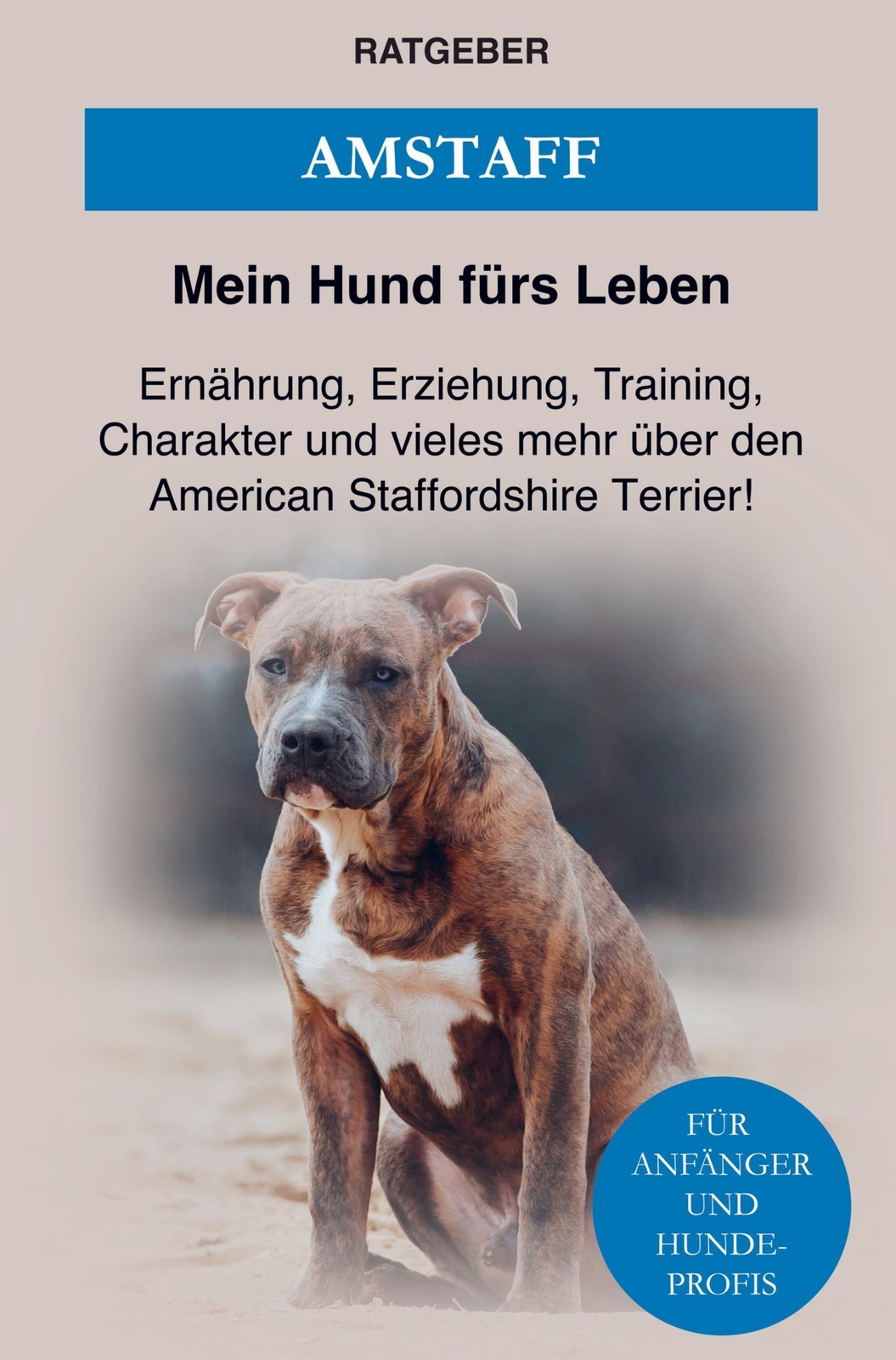 Thumbnail - American Staffordshire Terrier | Mein Hund Fürs Leben Ratgeber |