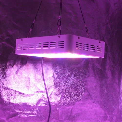300W LED Grow Light Plant voll spektrum Lampe Pflanze Blumen und Gemüse - Bild 3 von 8