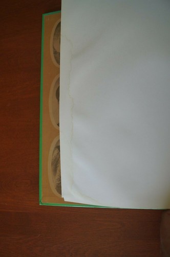 The Wild, Wild World of Animals-Asst Hardcover, Not all Title Shown, Choice! - Imagen 33 de 41