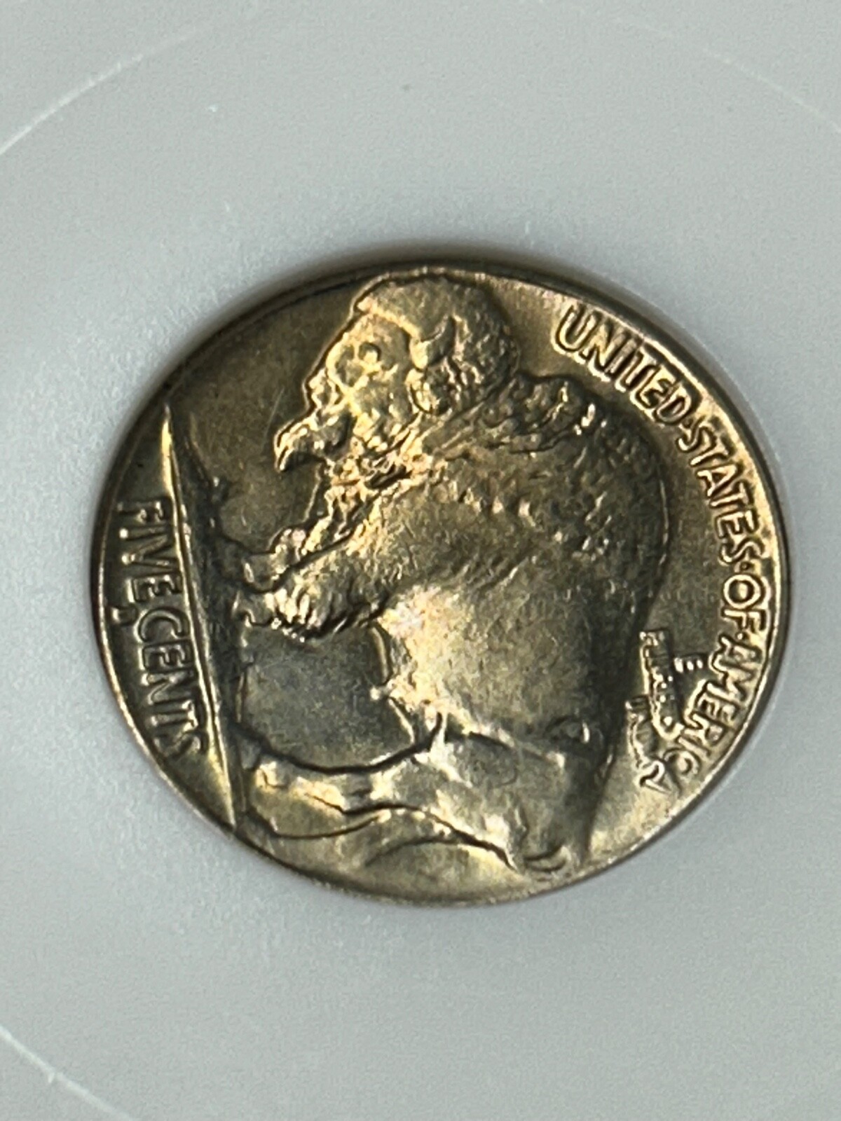 Picture 8 of 8
