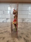 Foto 2 di 6