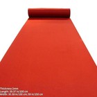 Red Carpet Aisle Runner Runway Rug Repeat Display for wedding Party By Meter