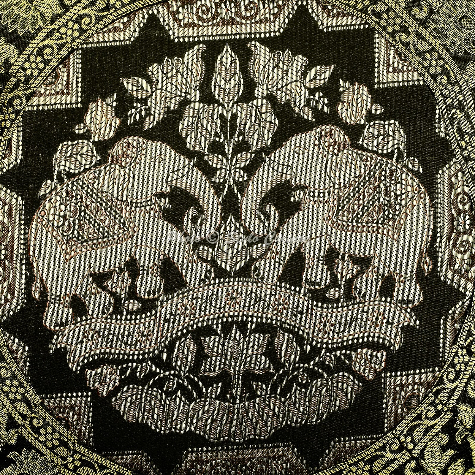 Picture 6 of 7