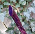 Bild 12 von 16