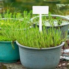 10 Stück Kunststoff-Gartenpflanzen-Etiketten, Pflanzen-Tags,