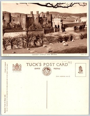 Conwy Castle and Bridge Wales Postcard