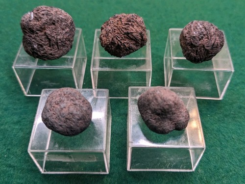 Schönes Lot 5x Kugeln Vivianit XX bis 2,5cm aus Utphe bei Hungen Hessen