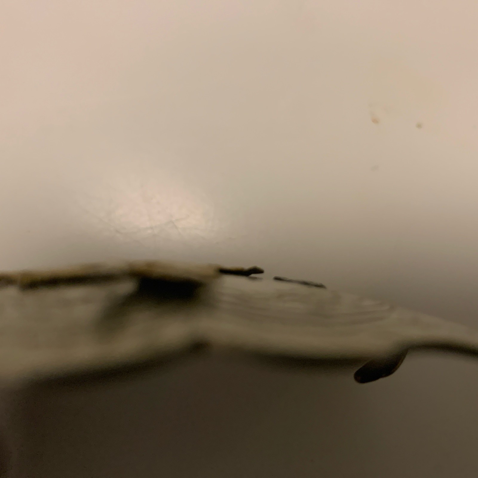 Picture 4 of 7