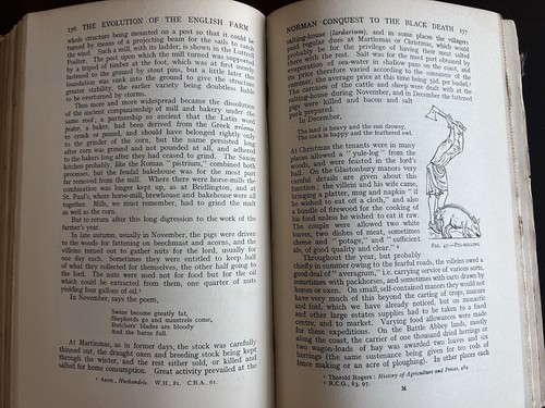 1927 History Evolution English Farm Mabel Seebohm Neolithic Saxon Celtic Roman - Picture 7 of 10