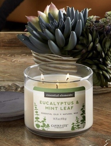 CANDLE-LITE Essential Elements 3-Wick Jar Candle, Eucalyptus & Mint Leaf - Picture 4 of 5