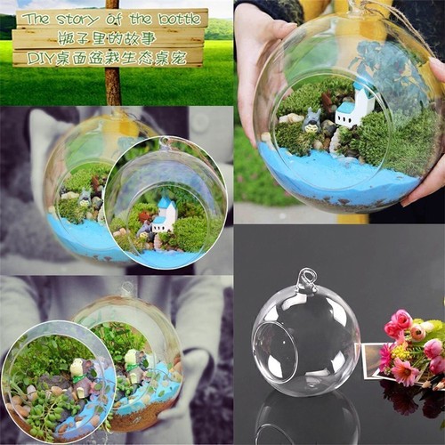 Hanging Glass Ball Vase Flower Plant Pot Terrarium Container Party Wedding Decor - Picture 2 of 13