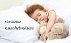 Bild 6 von 6