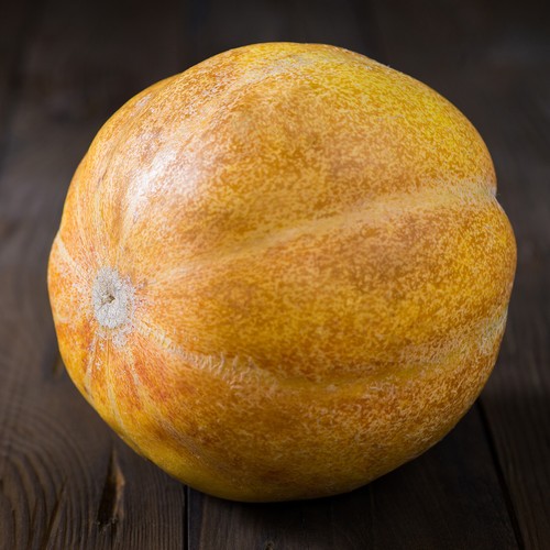 NEU Zuckermelone MINNESOTA MIDGET 10 Samen MIni Cantaloupe Melone HONIGMELONE - Bild 2 von 3