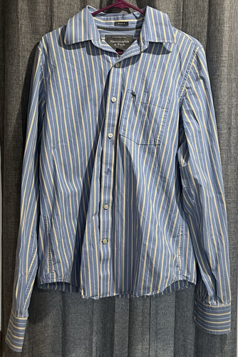 Abercrombie & Fitch Shirt Mens L Blue Striped Button Down Long Sleeve Moose - Picture 1 of 9