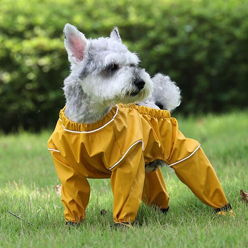 Breathable Pet Pants Prevents Floor Scratches and Dirt Outdoor Waterproof Pants+ - Picture 7 of 15