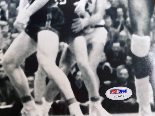 Oscar Robertson SIGNED 16x20 Photo Cincinnati Bearcats HOF PSA/DNA AUTOGRAPHED - Picture 3 of 3